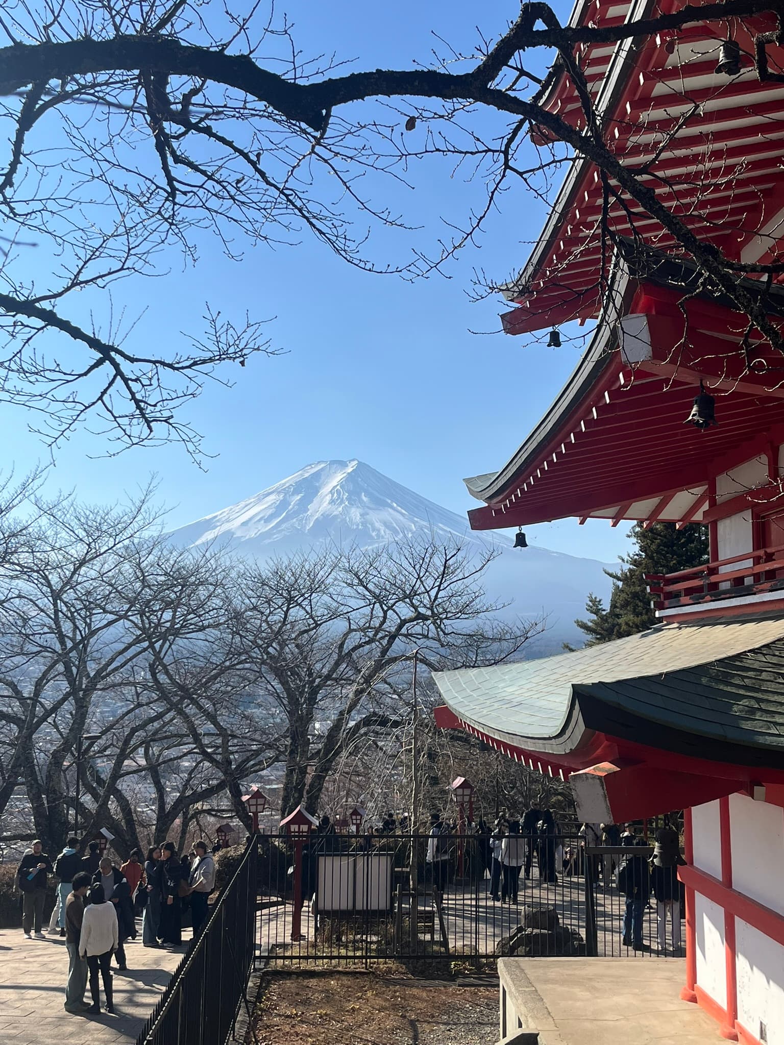 View of Mount Fuji