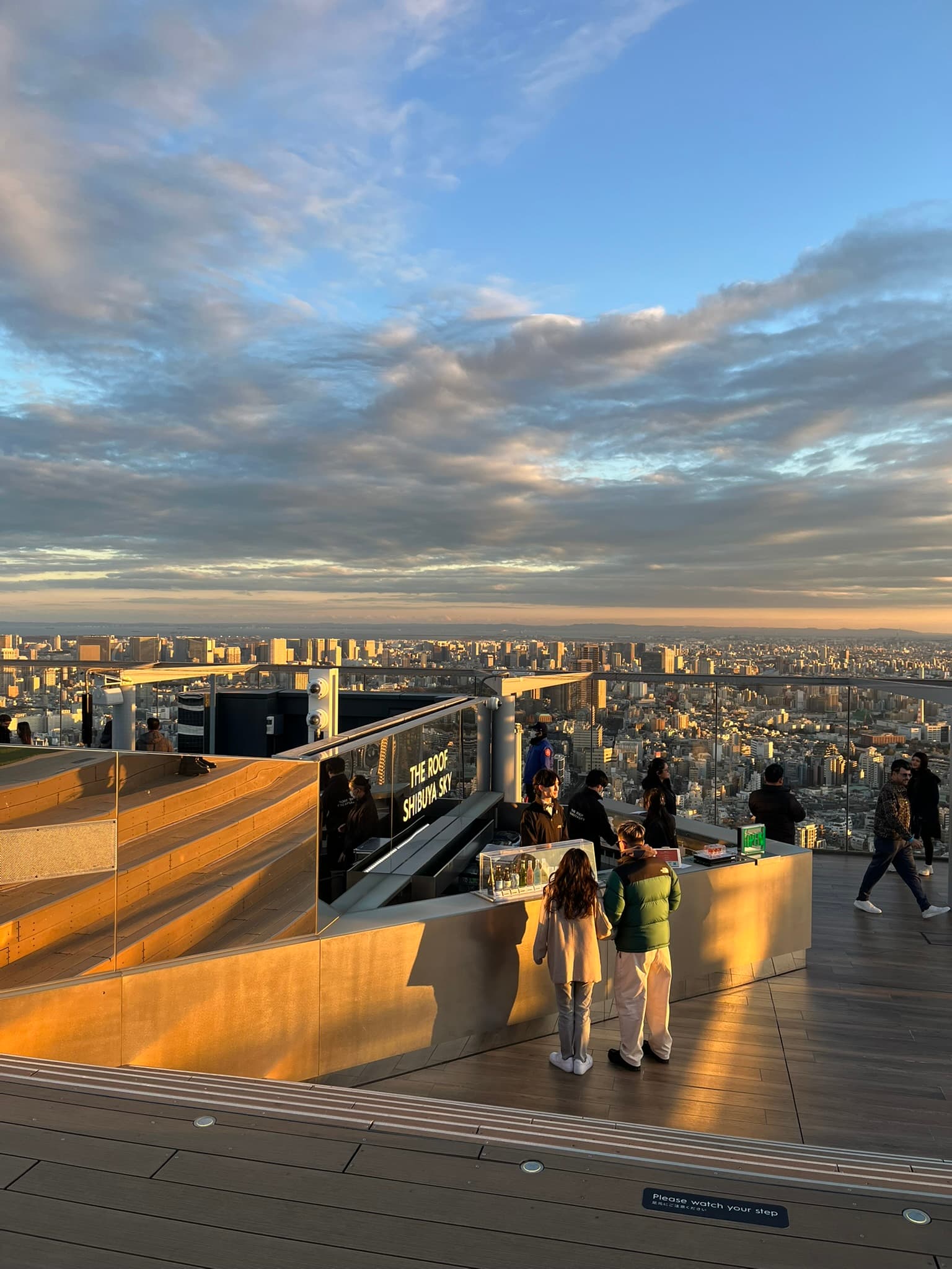 Tokyo from Shibuya Sky